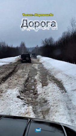 Дорога на Васисс (19.03.2025)