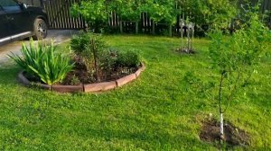 Наша дача, обзор сада -огорода на конец мая, не всё пропало от замороз..