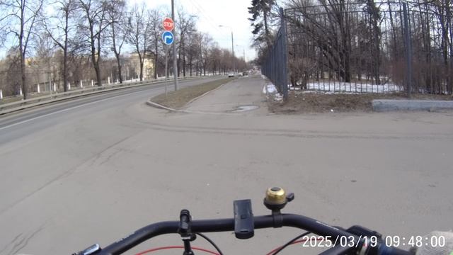 Петербуржец убил собутыльника ножом и спрятал расчлененное тело в Ленобласти