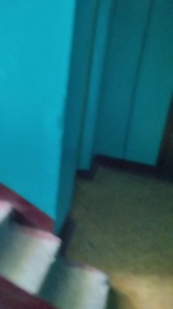 Голуби в балконе и подъезде