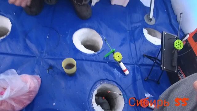 Зимняя рыбалка на карася 15.02.2025г