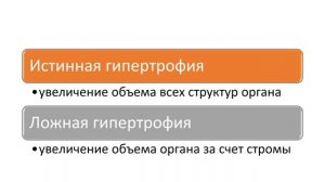 Дисциплина: ОП.04 (Т) Основы патологии. Тема: КОМПЕНСАТОРНО-ПРИСПОСОБИТЕЛЬНЫЕ РЕАКЦИИ