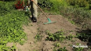 ЭТИ РАСТЕНИЯ ИЗБАВЯТ ОТ СОРНЯКОВ В ОГОРОДЕ! Что посеять весной от злостных сорняков?