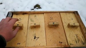Зимовка  пчел Buckfast в нуклеусе на 4 рамки рута