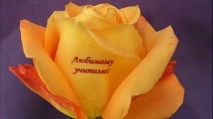 Говорящие цветы!!!!