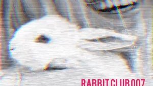 Rabbit club