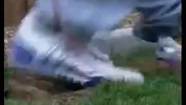 Wycombe Keeper Frank Talia chops off his toes while mowing his lawn смотреть онлайн