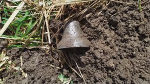 Весна, тепло, хорошие находки