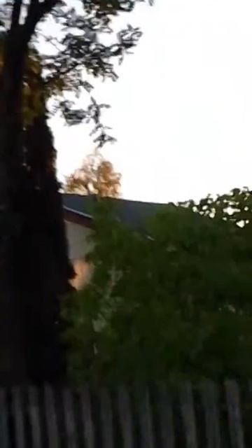 Sidensvans смотреть онлайн