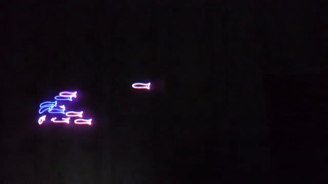 X-Laser RGB500SD смотреть онлайн