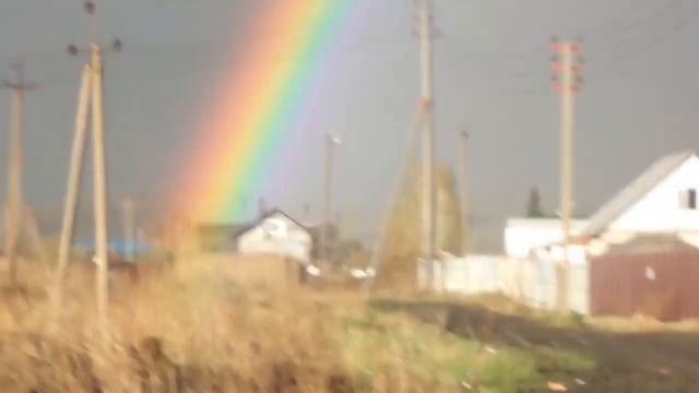 MOV01382 смотреть онлайн