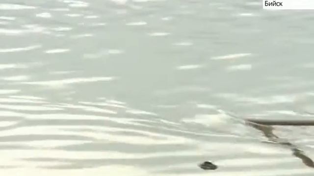 15 06 biiskplyaj смотреть онлайн