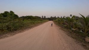 thai 25 test испр