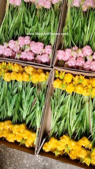 Бахромчатые тюльпаны в наличии снова 👍🔥

🌷Тюльпаны бахромчатые, букет из 5 шт