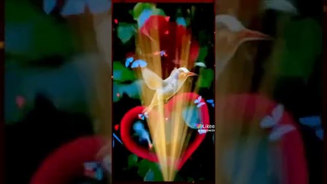 15 июня 2022 г. смотреть онлайн