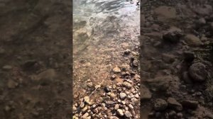 Как «прочитать» дно водоема с помощью маркерного грузика