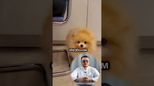 Острый панкреатит
