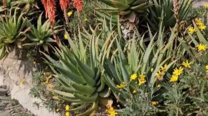 Прекрасный старинный городок Дольче Аква в Италии.И тот Мост на холстах Моне, и город под землёй.