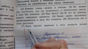 ВПР Русский язык 4 класс, 2025 год. Вариант 6 из 25