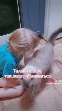 Вот она, любовь