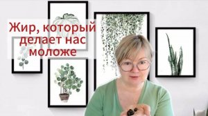 Жир, который делает нас моложе. Лецитин - почему мы его едим