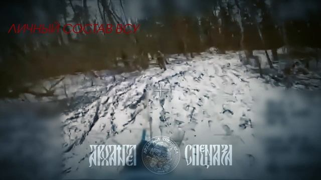 🪖 Готов голубчик.  «Вандал» во время поиска целей нашел заблудшую душу и помог ей выйти из этого...