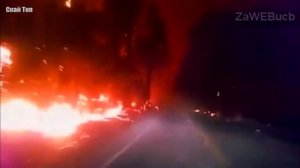 Подожгли тополиный пух