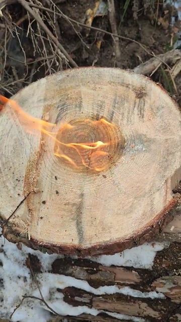 залетит в тренды ? огонь  лес  работа  безделье.