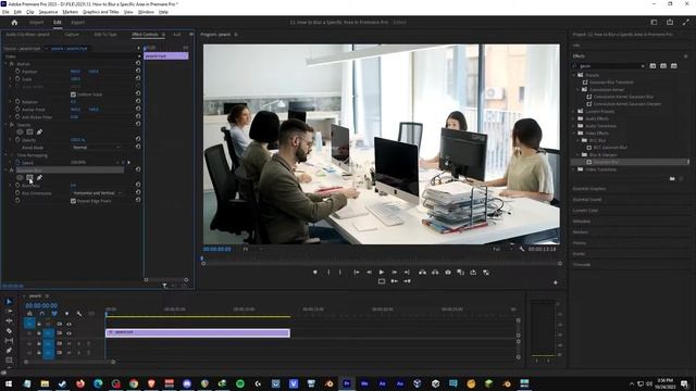 How to Blur a Specific Area in Premiere Pro смотреть онлайн