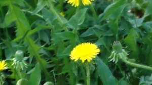 Олег Безъязыков: Я убегу