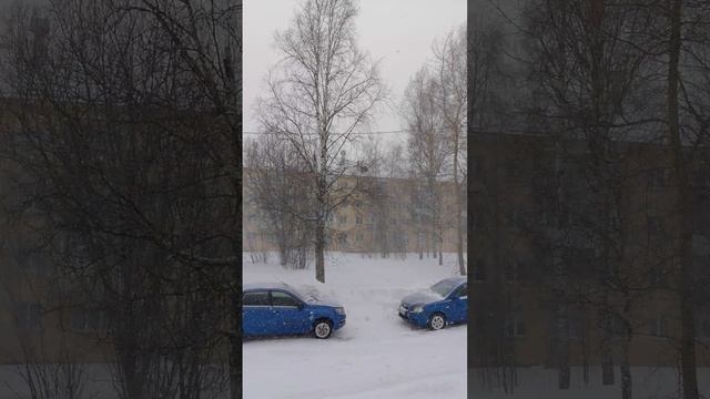 ....Ещё вчера была пурга вот такая! А сегодня ,друзья, уже светит тёплое весеннее  солнышко !!!