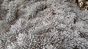 13.02.2025г. Денежниково