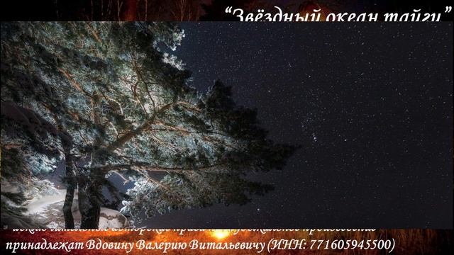 Звёздный океан тайги (вариация 3)