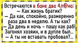 Случай В Баньке! Сборник Лучших Свежих Анекдотов! Юмор!