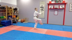 Рензоку бункай. Защита