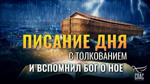 "И вспомнил Бог о Ное" / Писание дня