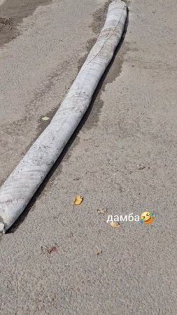 У нас летом случились страшные наводнения. Ходили по городу, снимали последствия
