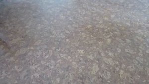 Лазерная рулетка