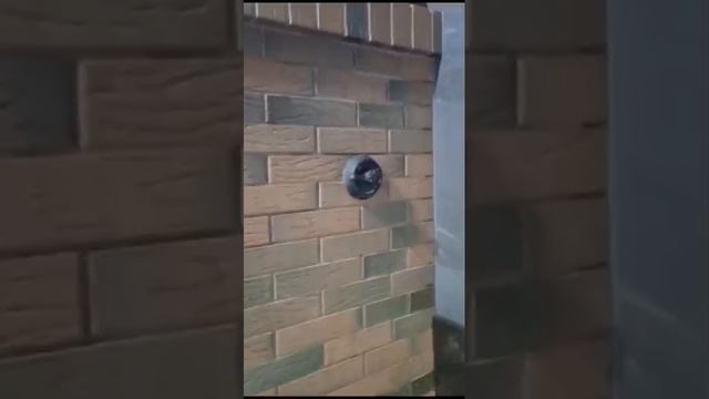 1000004180.mp4