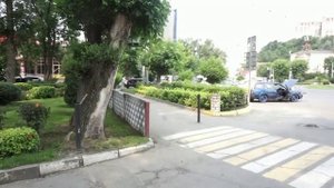 Оазис в Владивостоке.