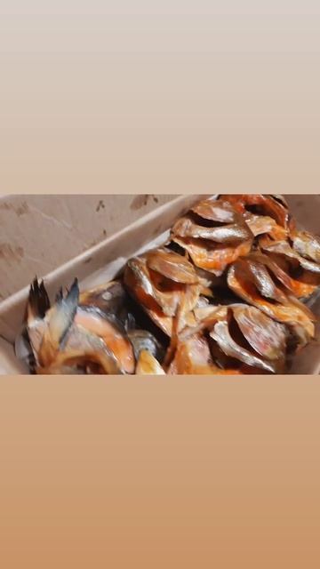 Сибас горячего копчения! Головы сёмги! Дорадо горячего копчения!