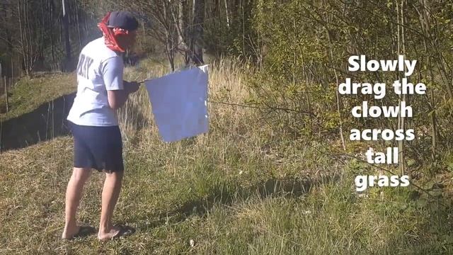 FTA students videos: Tick flagging by Iva Bernátová смотреть онлайн