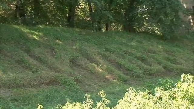 Школа в Пуциловке смотреть онлайн