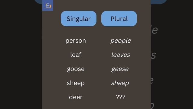 Singular and Plural Words - English Vocabulary