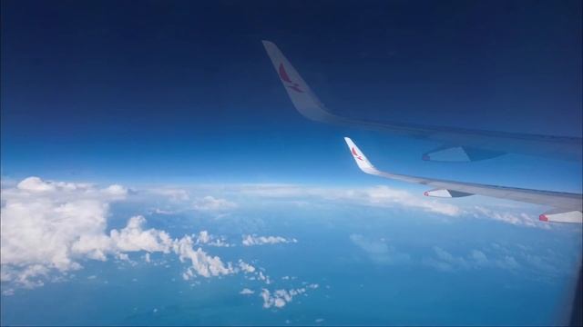 Avianca Airlines - $283 Round Trip on XS Tickets (Trip Report JFK to BOG) смотреть онлайн