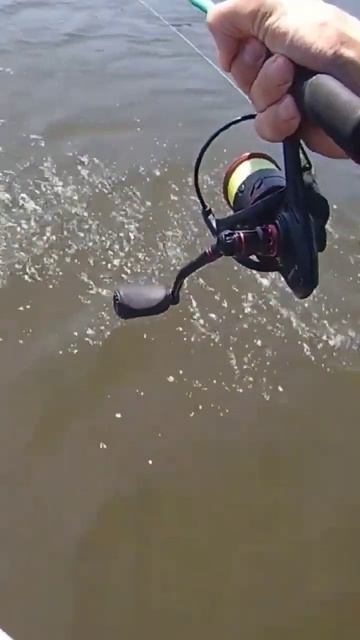 Судак клюнул на силикон. Рыбалка на судака с лодки. #fishing #рыбалка #ловлясудаканаспиннинг смотреть онлайн