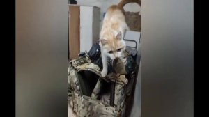 Пусть песня Геннадия Кунявского живёт, пусть её поют дети...