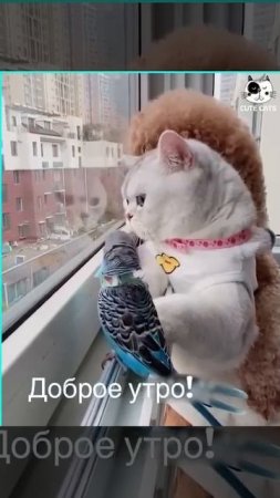 Доброе утро!!!🥰