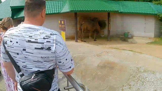 Мы в Москве.Мы в Зоопарке смотреть онлайн