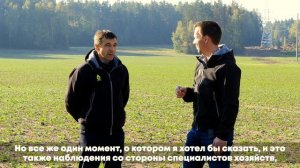 «Посевы озимого  рапса поздних сроков сева по состоянию на начало октября».